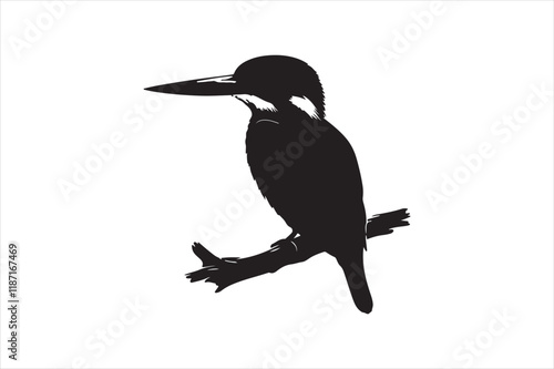 Kingfisher Silhouette vector 
