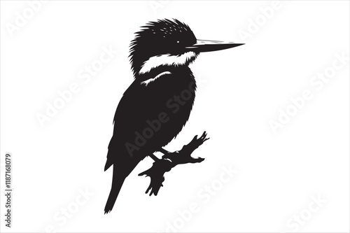Kingfisher Silhouette vector 