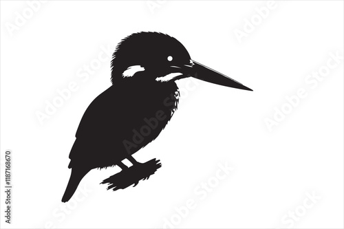 Kingfisher Silhouette vector 