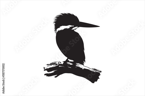 Kingfisher Silhouette vector 