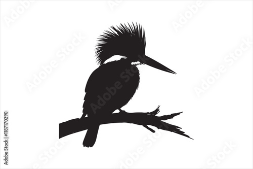 Kingfisher Silhouette vector 