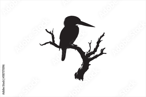 Kingfisher Silhouette vector 