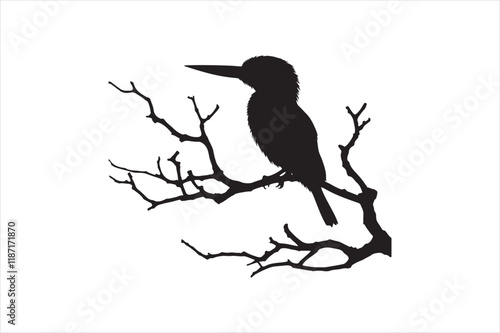 Kingfisher Silhouette vector 