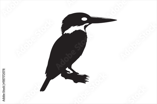 Kingfisher Silhouette vector 