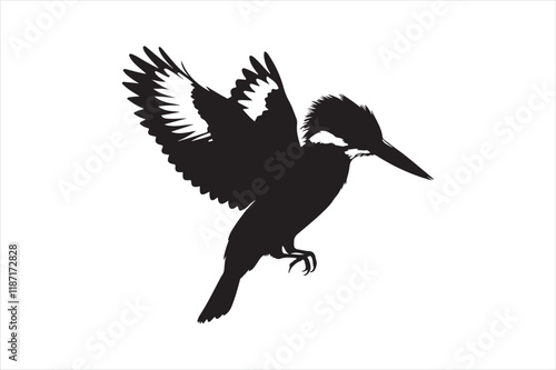 Kingfisher Silhouette vector 