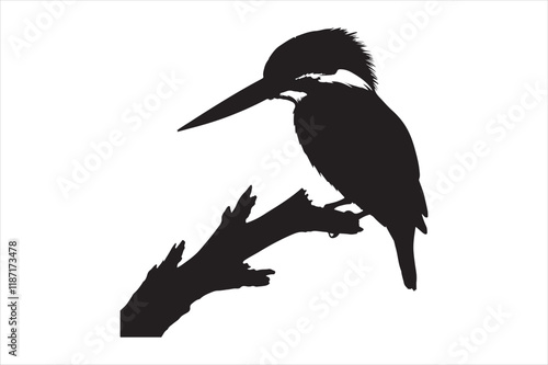 Kingfisher Silhouette vector 