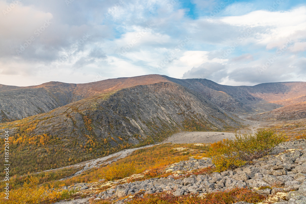 View to Mannepakhp river valley at Khibiny mountains. Stones and small trees. Early autumn in arctic tundra region. Kola peninsula, Murmansk region, Russia.