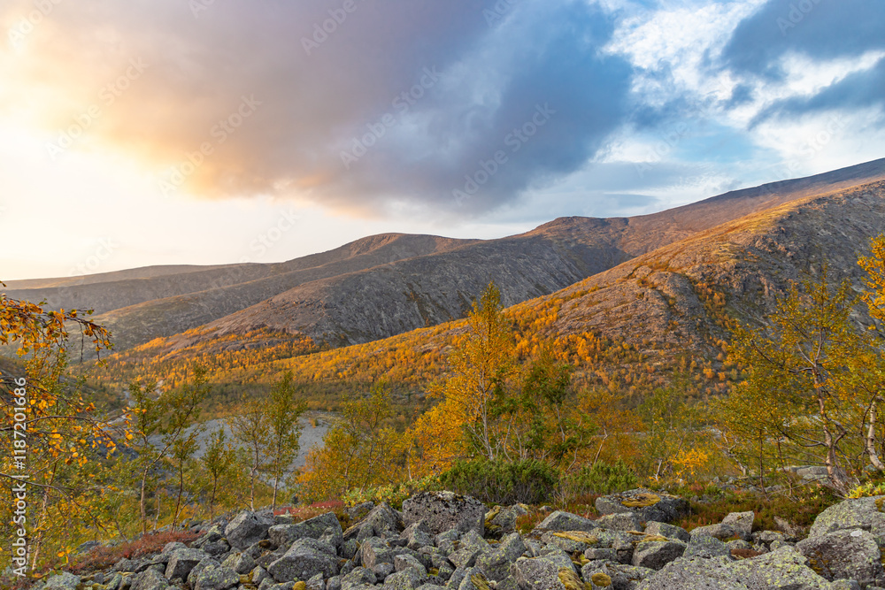 View to Mannepakhp river valley at Khibiny mountains. Stones and small trees. Early autumn in arctic tundra region. Kola peninsula, Murmansk region, Russia.
