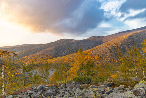Obraz na płótnie View to Mannepakhp river valley at Khibiny mountains. Stones and small trees. Early autumn in arctic tundra region. Kola peninsula, Murmansk region, Russia. w salonie