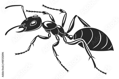 ant isolated on white background