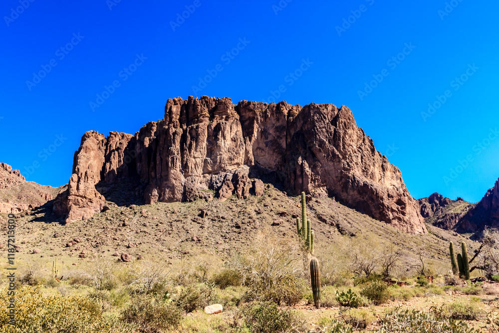 Fototapeta premium A mountain with a cactus in the foreground