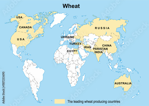 Leading wheat producing countries on 
geographical contour map of world. 
Agriculture, crop production. 
Vector educational drawing.
Continents and countries with inscriptions in English.