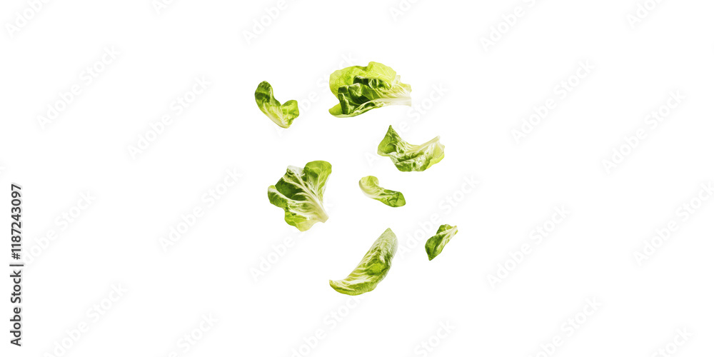 Fresh green lettuce leaves floating isolated on transparent background Fresh green lettuce leaves floating isolated on transparent background