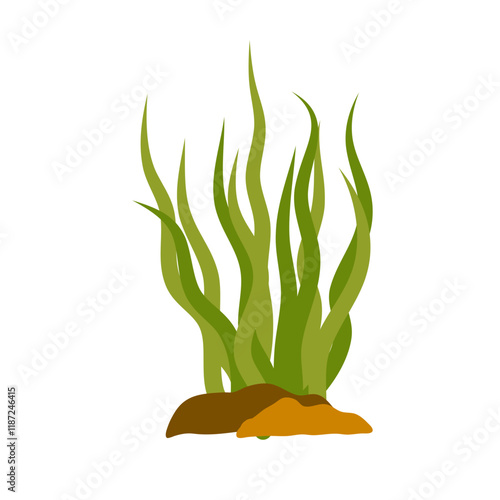 Green Seaweed vector icon. Nature sea herb, kelp. Ocean algae on the seabed among the stones. Aquatic reef plant, underwater grass.