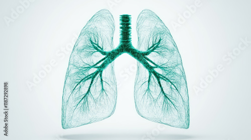 A detailed illustration of human lungs with green veins, X-ray picture of lungs white background