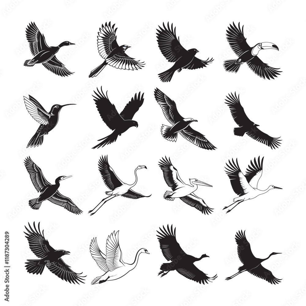 Obraz premium collection of birds. Elegant Flying Bird Silhouette Collection.
