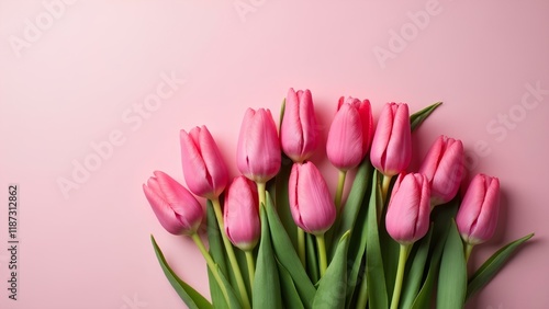 Wallpaper Mural  Bouquet of pink tulip flowers on pastel pink background with space for text. Flat plan, top view. Concept Valentine's Day, Easter, Birthday, congratulations on Women's Day, Mother's Day. Torontodigital.ca