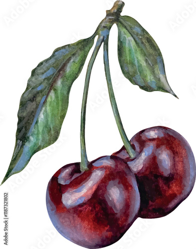 Watercolor illustration of cherry on white background. Use for party invitations, postcards, decorations, scrapbooking.