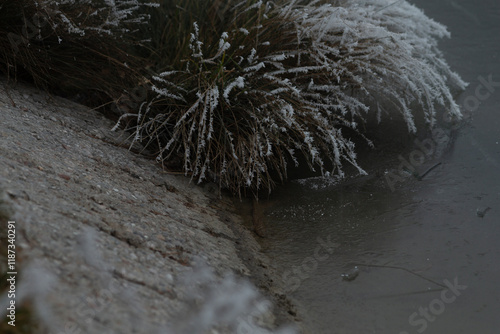 The frostcovered reeds stand beautifully alongside a misty water body, creating a serene and tranquil scene in a cold winter environment photo