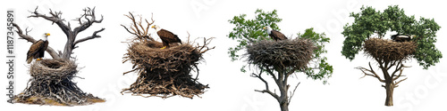 Eagle nest – A large nest built by eagles, often found in tall trees or on cliffs, used for raising their young. Isolated on Clear White Background Highly Detailed 