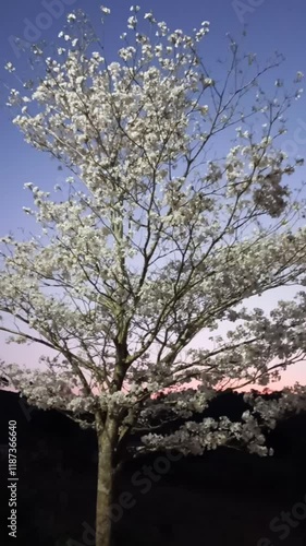 Wallpaper Mural tree in the snow Torontodigital.ca