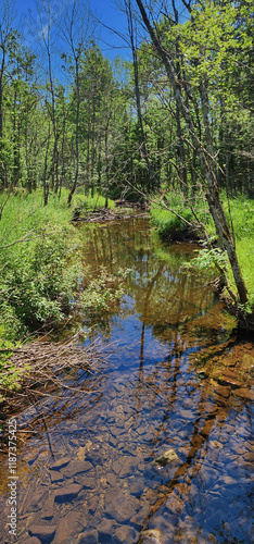 A summer landscape: a stream through a marsh surrounded by lush green grasses, brush, and trees, under a gorgeous blue sky photo