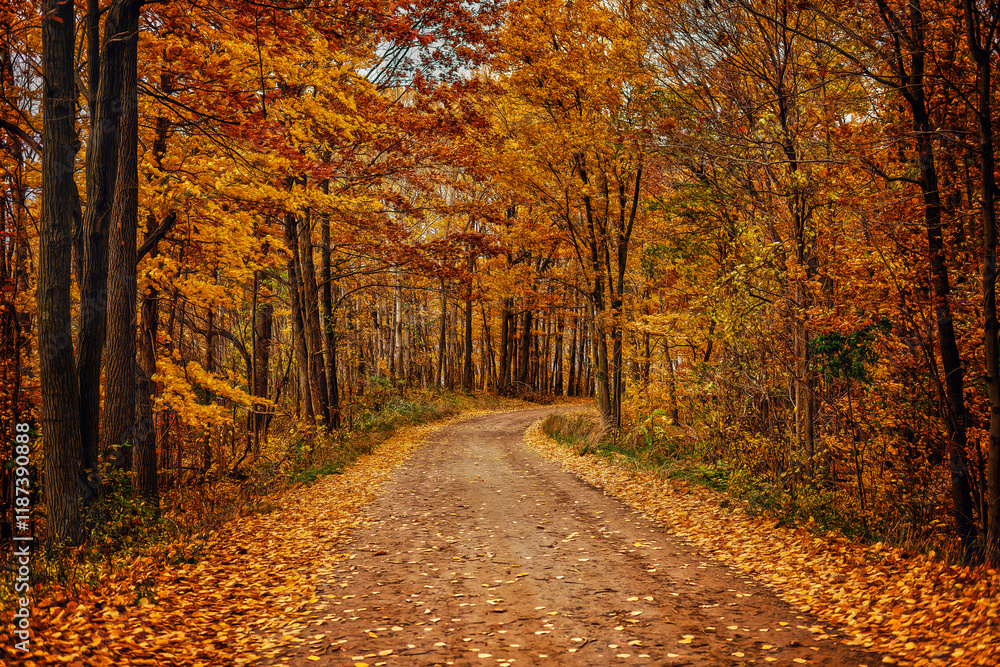 Obraz premium Dirt Road in Michigan
