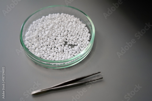 Glass petri dish with small white beads and metal tweezers on a gray surface in a laboratory setting photo