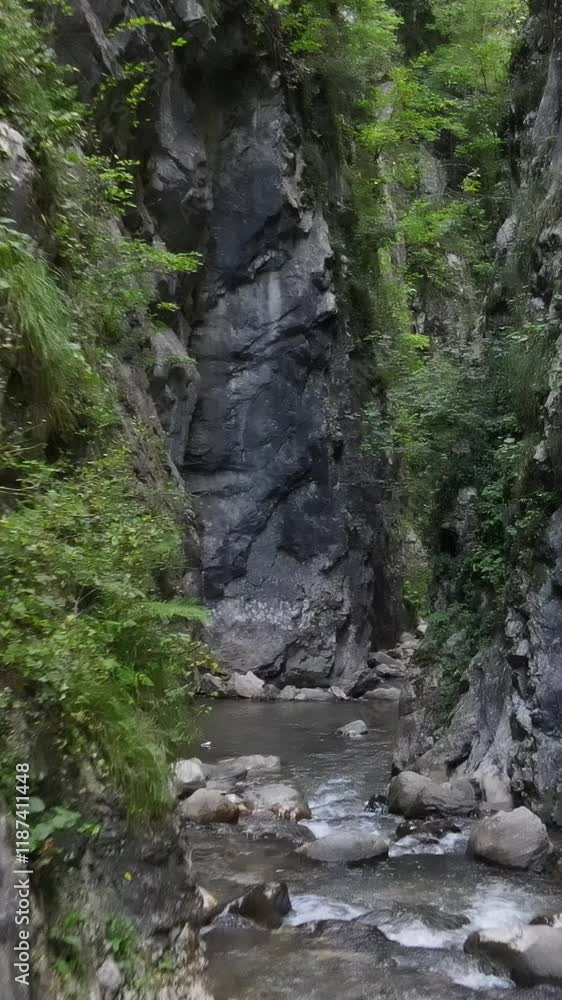 Walking Canyon River 