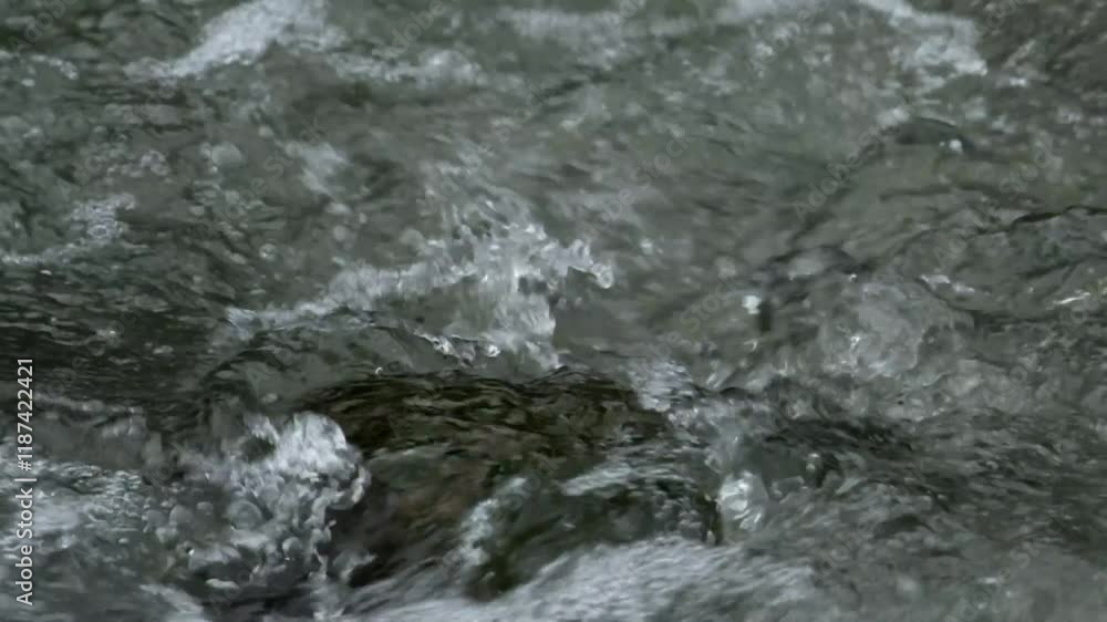 Fast flowing mountain river water.Fast and clear river water waves in rocky cascades.Splash of river water.Green environment and ecology concept.Raw video real time no edit.Footage 4K,60Fps Fast flowing mountain river water.Fast and clear river water waves in rocky cascades.Splash of river water.Green environment and ecology concept.Raw video real time no edit.Footage 4K,60Fps