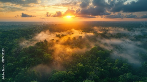 Wallpaper Mural beautiful fog over a tropical rainforest during sunset Torontodigital.ca