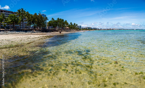 tropical beach in northeastern Brazil in the state of Alagoas, city of Maceio, Ponta Verde beach photo