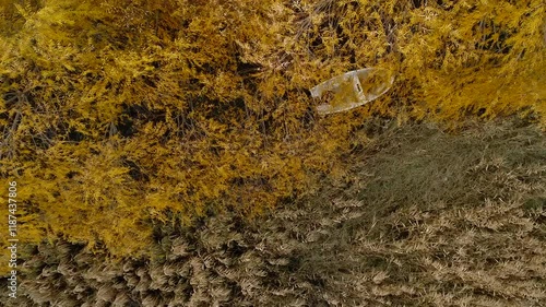 An aerial view of a person rowing a boat through a narrow waterway, surrounded by golden autumn reeds. The serene scene highlights the beauty of nature,evoking a sense of peace. photo