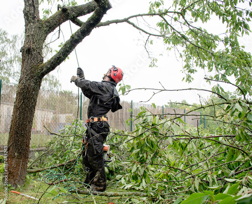 Tree care services and cultivation. Arborist tree surgeon cutting tree with chainsaw. Woodcutter in uniform climbing and trimming branches. Arboriculturalist at work. Working on heights. photo