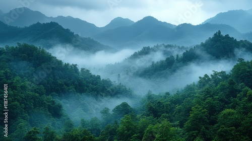 the view of the natural background of the mountain close up with blurred fog scattered in the rainy season or the humid climate with beautiful green trees in the ecological system