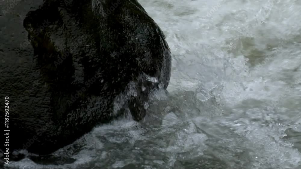 custom made wallpaper toronto digitalRiver water ripples hitting rocks on the river bank.Water surface ripples.Green environment and ecology concept.Raw video real time no edit.Footage 4K,60Fps