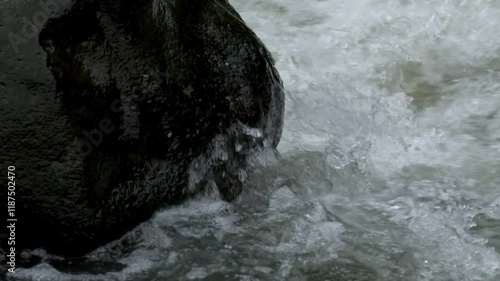 Wallpaper Mural River water ripples hitting rocks on the river bank.Water surface ripples.Green environment and ecology concept.Raw video real time no edit.Footage 4K,60Fps Torontodigital.ca