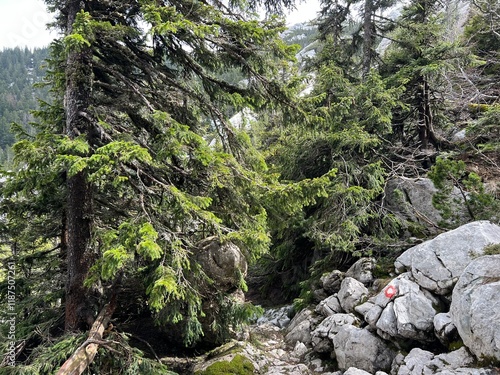 Mountaineering signs and climbing markings in the area of ​​the Northern Velebit National Park, Croatia (Planinarske oznake i penjačke markacije na području nacionalnog parka Sjeverni Velebit) photo