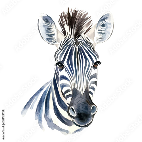 A watercolor of a zebra, isolated on a white background. Zebra vector.
