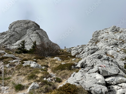 Rocky karst peak Balinovac, 1602 m - Northern Velebit National Park, Croatia (Stjenoviti krški vrh Balinovac, 1602 mnv. - Nacionalni park Sjeverni Velebit, Hrvatska) photo