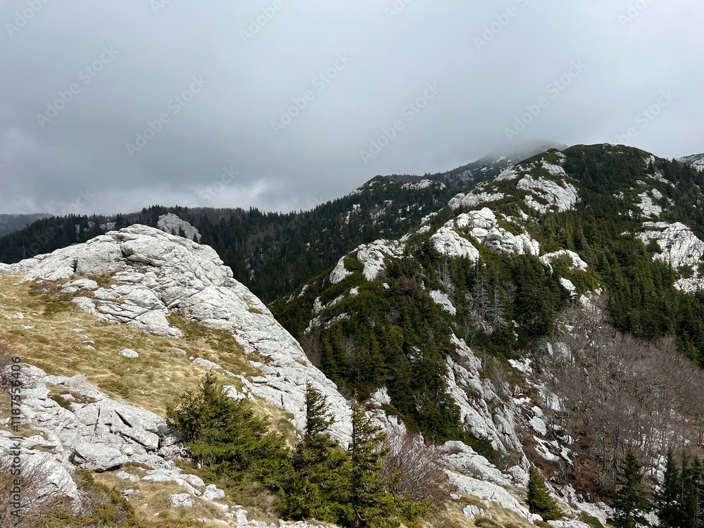 View of karst peaks and mountain forest from Balinovac peak - Northern Velebit National Park, Croatia (Pogled na krške vrhove i planinsku šumu s vrha Balinovac - Nacionalni park Sjeverni Velebit) View of karst peaks and mountain forest from Balinovac peak - Northern Velebit National Park, Croatia (Pogled na krške vrhove i planinsku šumu s vrha Balinovac - Nacionalni park Sjeverni Velebit)