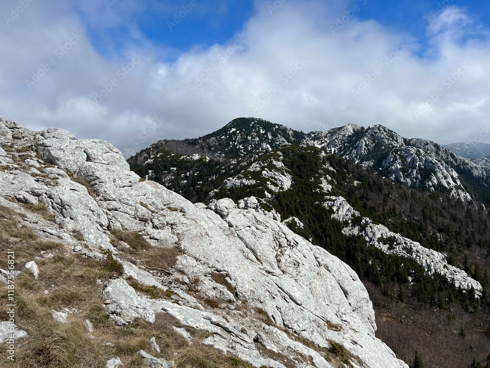 View of karst peaks and mountain forest from Balinovac peak - Northern Velebit National Park, Croatia (Pogled na krške vrhove i planinsku šumu s vrha Balinovac - Nacionalni park Sjeverni Velebit) View of karst peaks and mountain forest from Balinovac peak - Northern Velebit National Park, Croatia (Pogled na krške vrhove i planinsku šumu s vrha Balinovac - Nacionalni park Sjeverni Velebit)