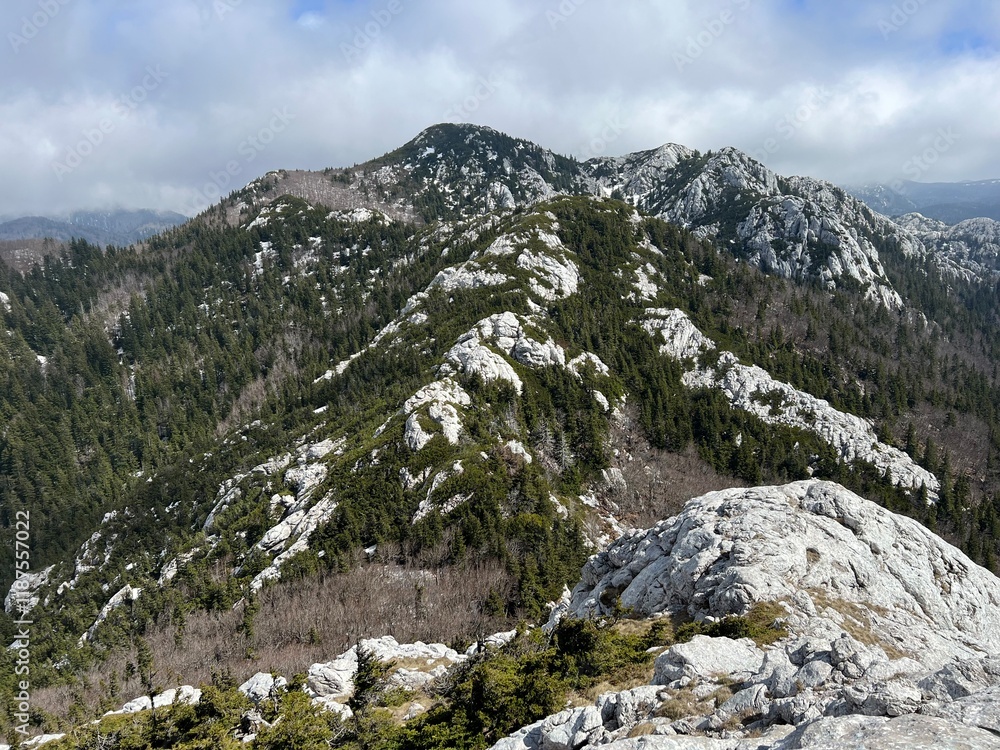 View of karst peaks and mountain forest from Balinovac peak - Northern Velebit National Park, Croatia (Pogled na krške vrhove i planinsku šumu s vrha Balinovac - Nacionalni park Sjeverni Velebit) View of karst peaks and mountain forest from Balinovac peak - Northern Velebit National Park, Croatia (Pogled na krške vrhove i planinsku šumu s vrha Balinovac - Nacionalni park Sjeverni Velebit)