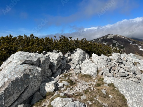 Limestone rocks and karst mountain landscape - Northern Velebit National Park, Croatia (Vapnenačke stijene i krški planinski krajolik - Nacionalni park Sjeverni Velebit, Hrvatska) photo