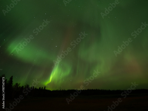 Wallpaper Mural 美しいオーロラが見えた日 Torontodigital.ca