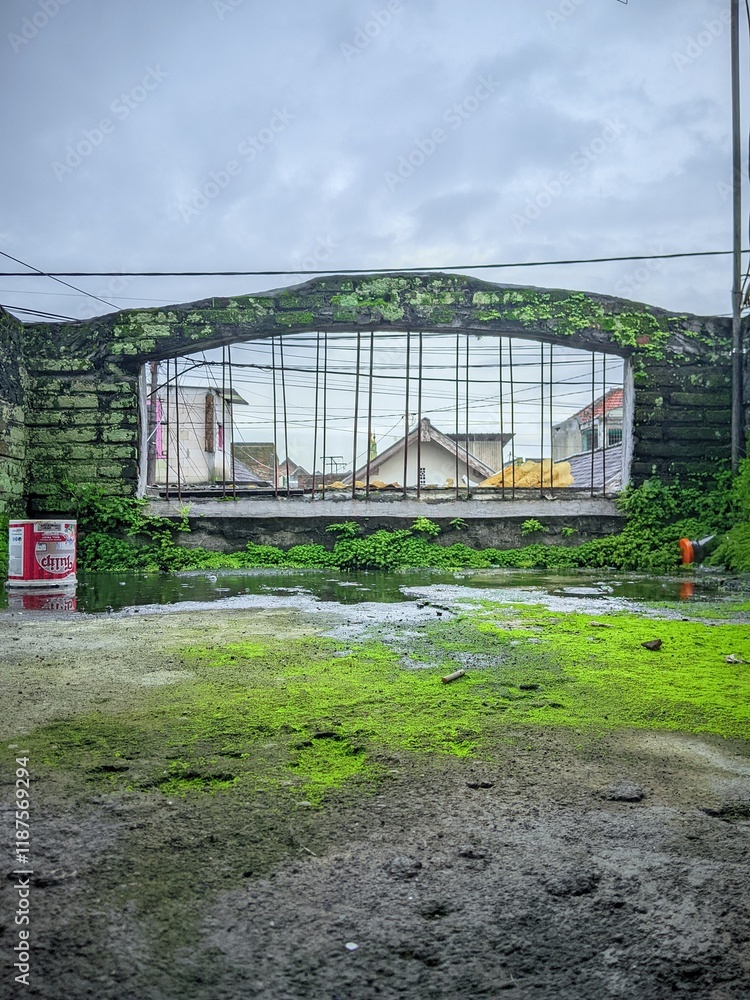 Fototapeta premium greenhouse with plants