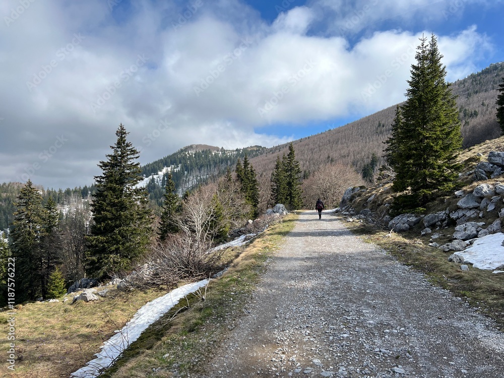 Obraz premium Early spring atmosphere and the last remnants of snow on the mountain road - Northern Velebit National Park, Croatia (Posljednji ostaci snijega na planinskoj cesti - NP Sjeverni Velebit, Hrvatska)