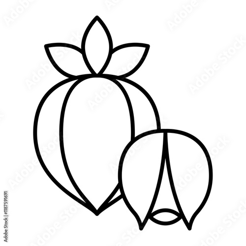 guarana outline icon