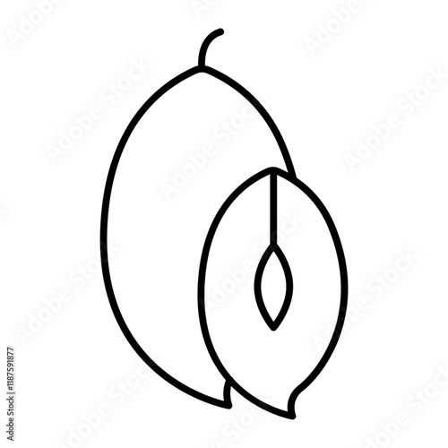 sapodilla outline icon