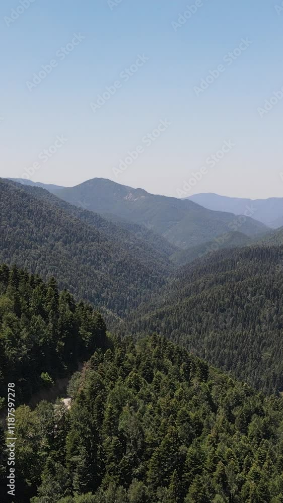 Green Mountian Forest Aerial View Green Mountian Forest Aerial View